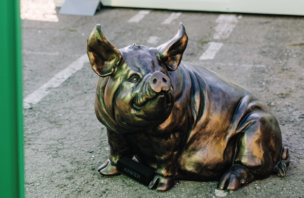 Groundhog secures new national supply partnership with GAP Group